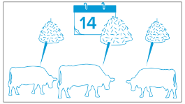 Автоматически сформированный графический пользовательский интерфейс, текст, приложение, описание электронной почты